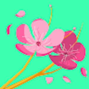 Meet your Posher, Eve